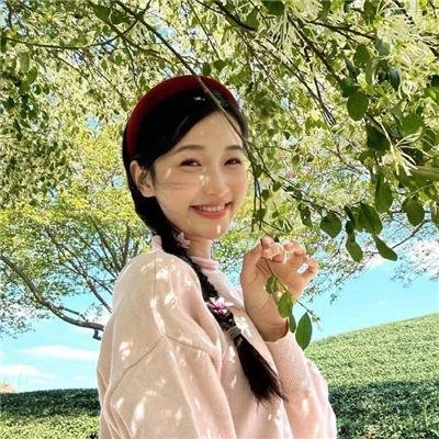 那年夏天的乐声